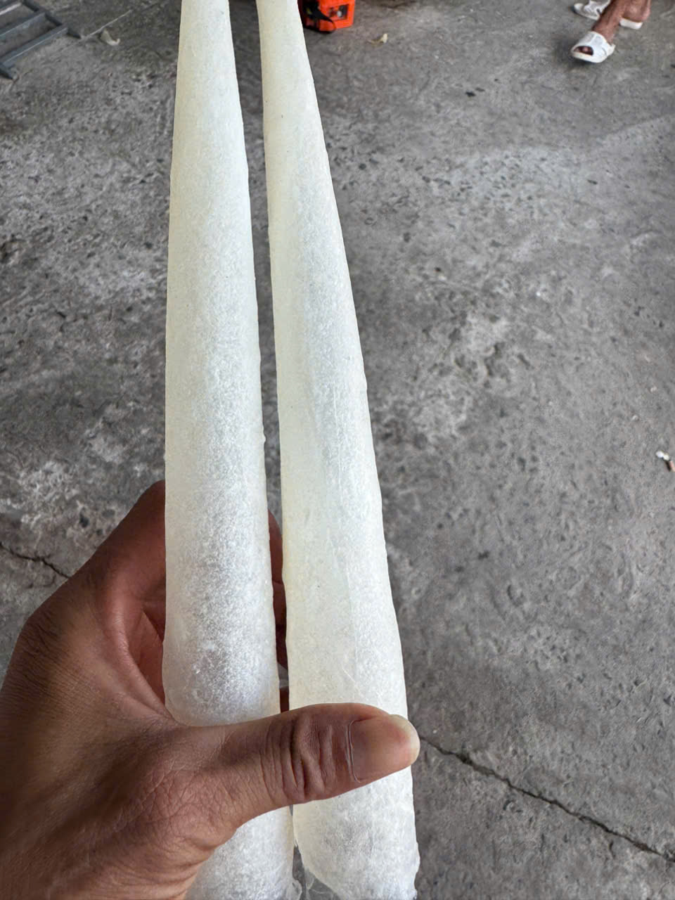 Bong bóng cá ba sa - dạng ống - Hình ảnh 3