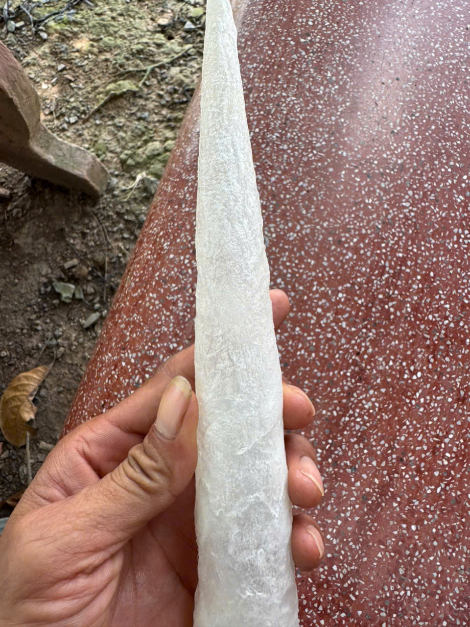 Bong bóng cá ba sa - dạng ống - Hình ảnh 5