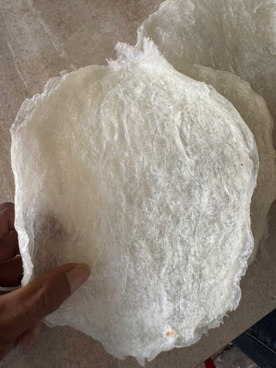 Bong bóng cá ba sa - cán dẹp - Hình ảnh 3