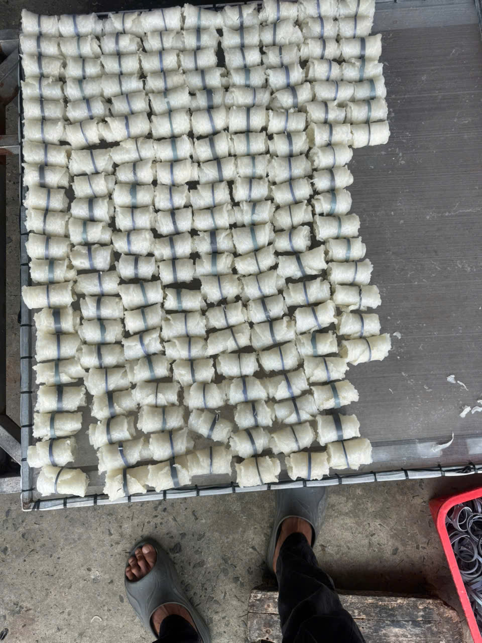 Bong bóng cá basa - cuộn tròn - Hình ảnh 3