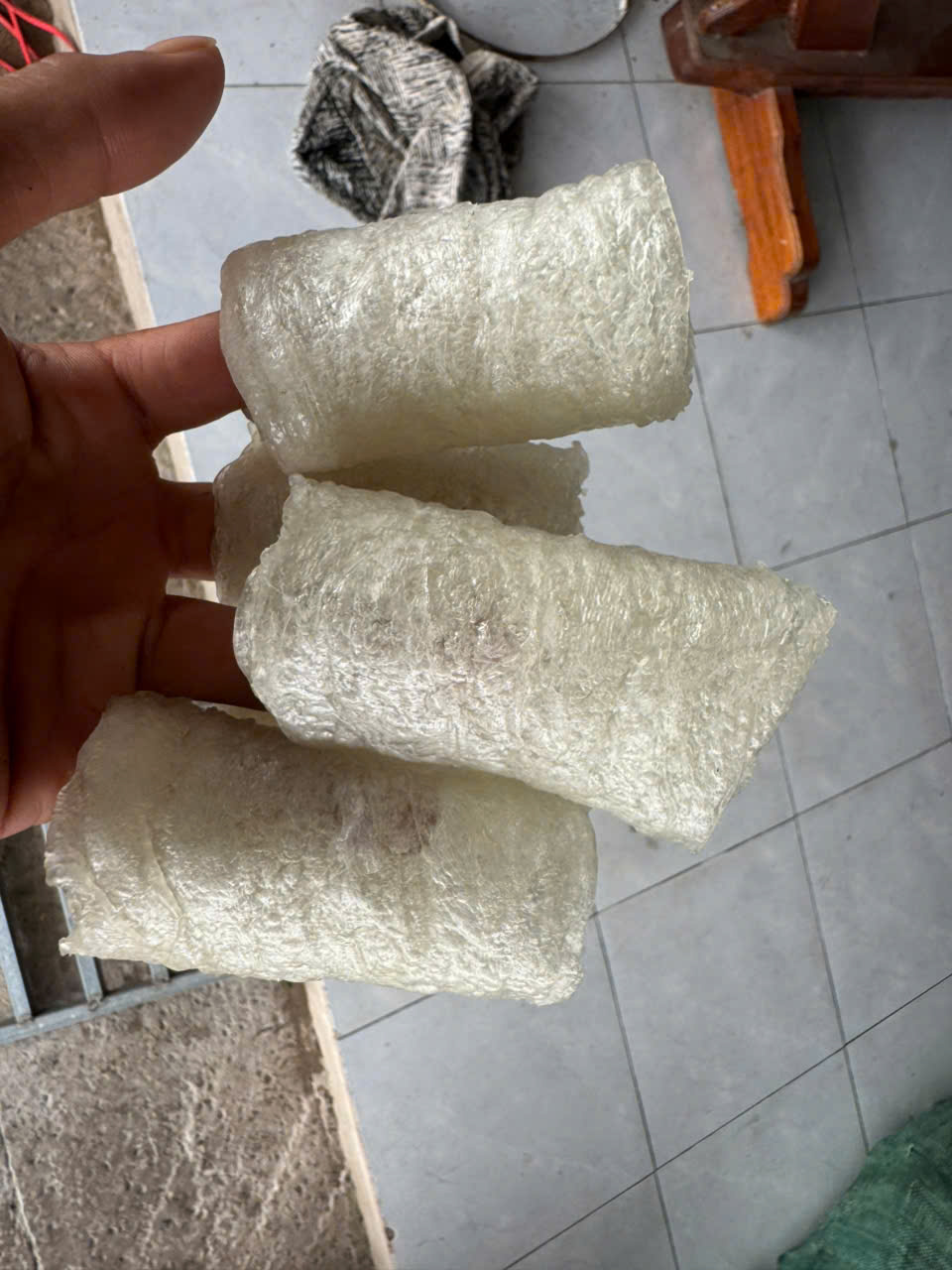 Bong bóng cá basa - cuộn tròn - Hình ảnh 4