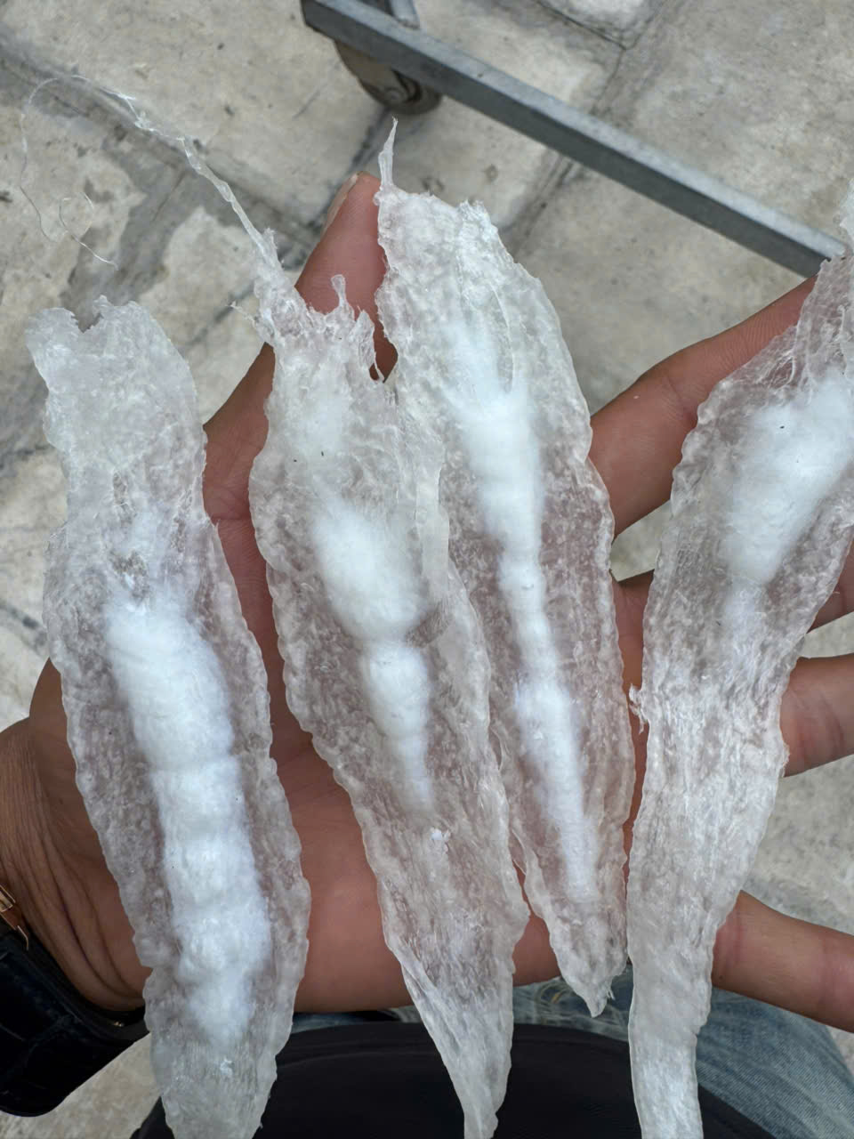 Bong bóng cá ba sa - nguyên bản - Hình ảnh 8