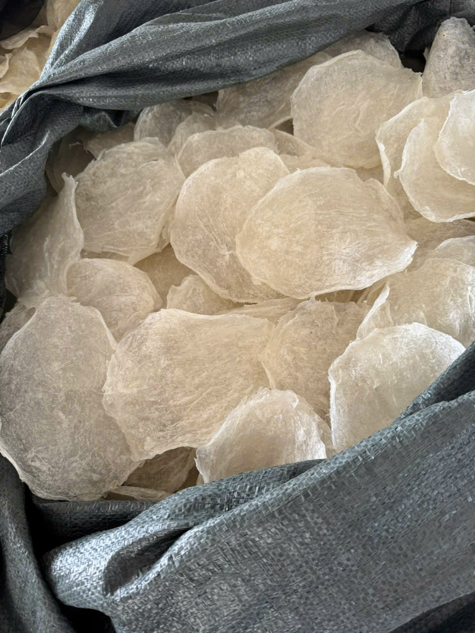 Bong bóng cá ba sa - cán dẹp - Hình ảnh 8
