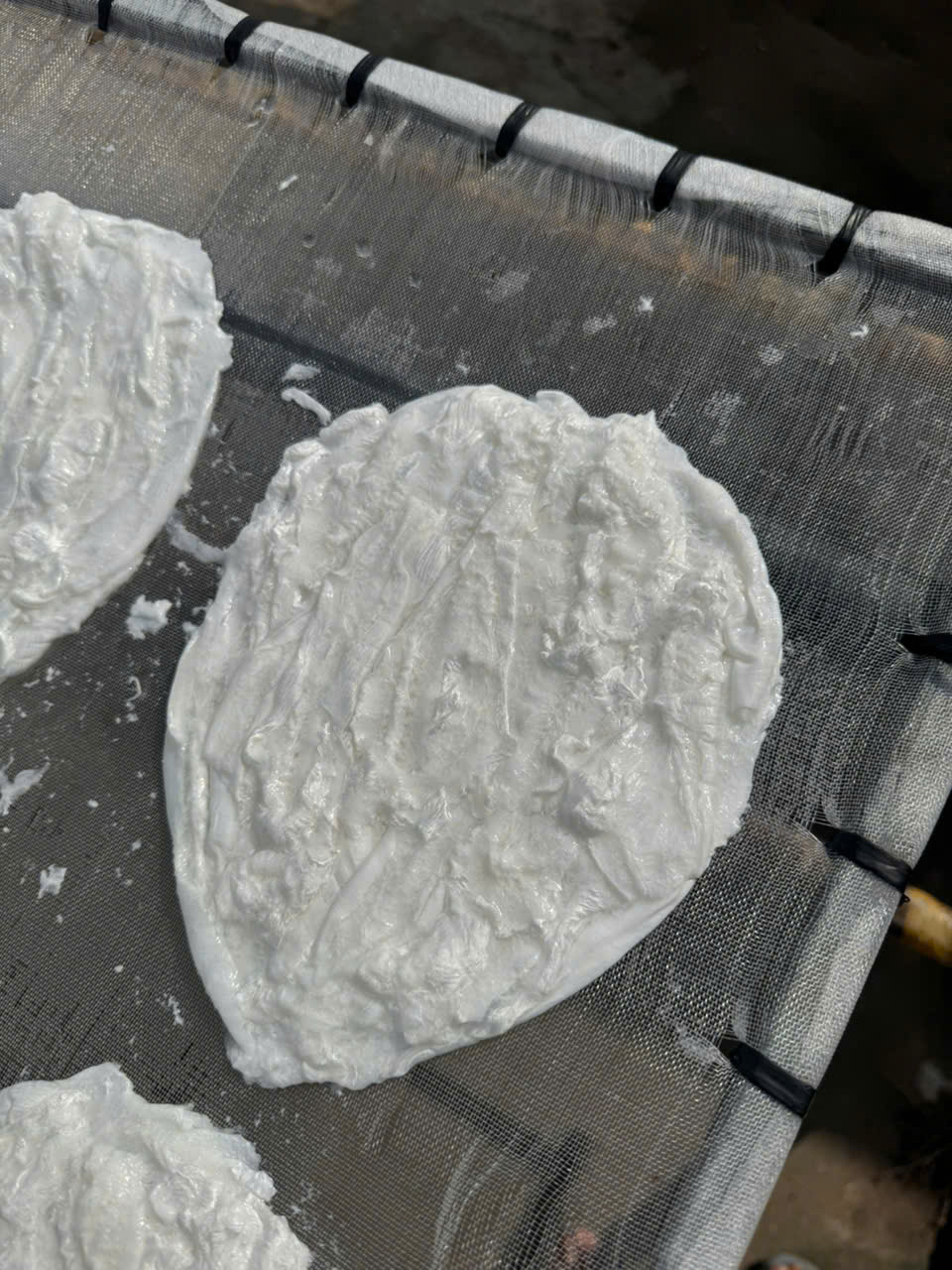 Bong bóng cá ba sa - cán dẹp - Hình ảnh 12