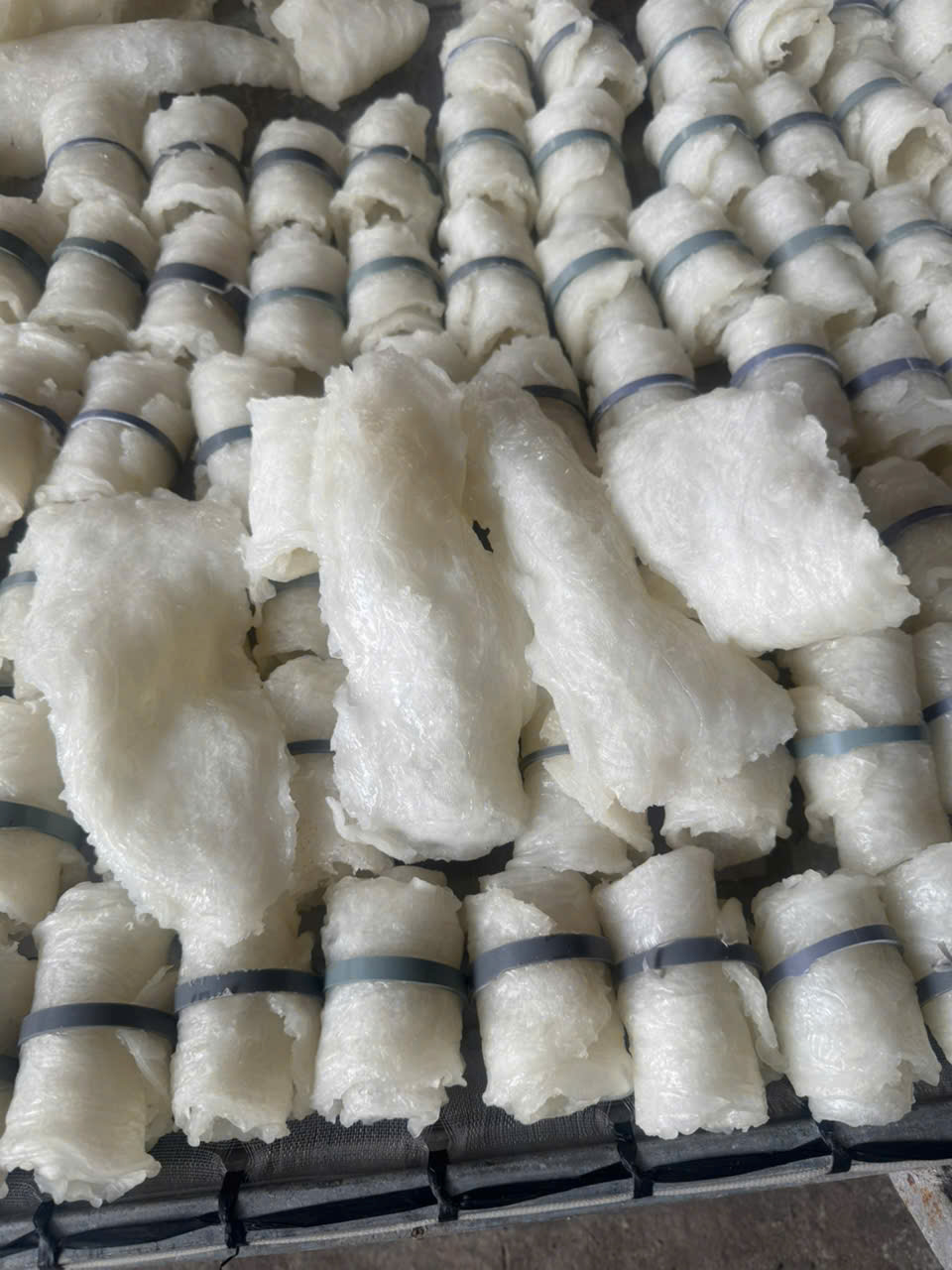 Bong bóng cá basa - cuộn tròn - Hình ảnh 8