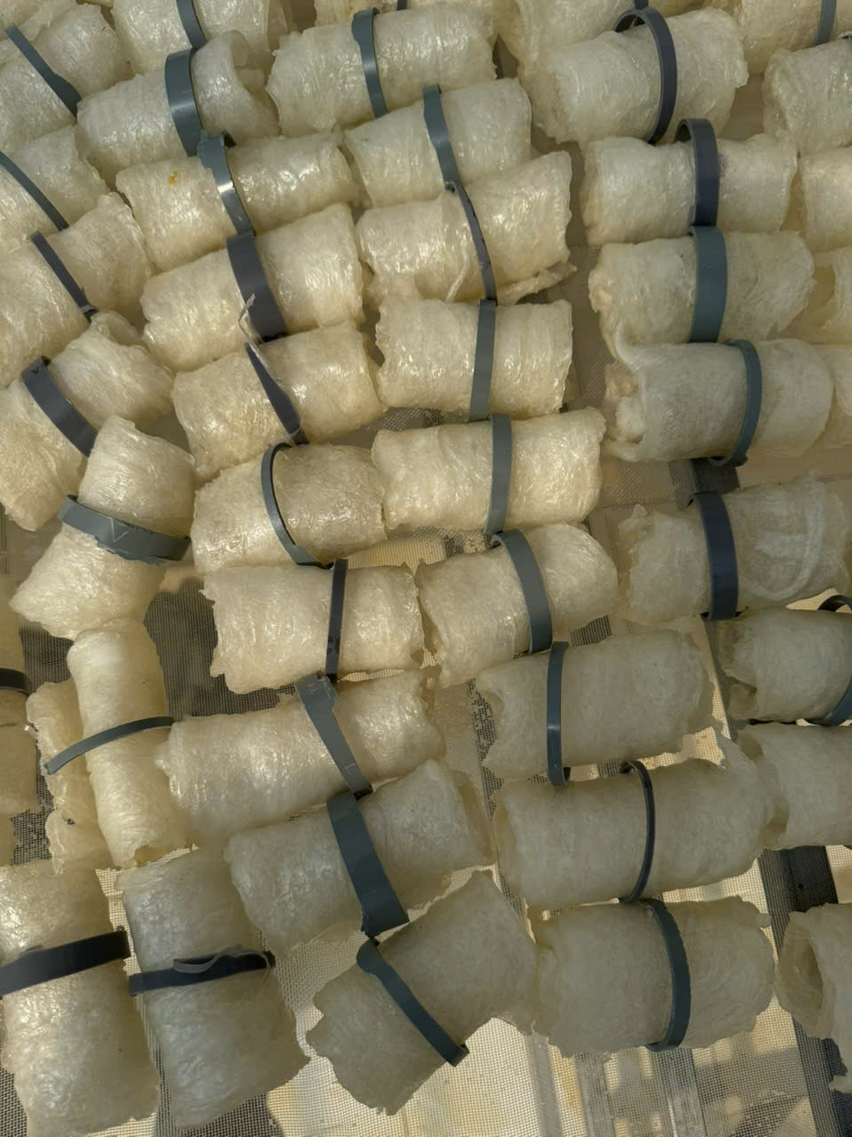 Bong bóng cá basa - cuộn tròn - Hình ảnh 12